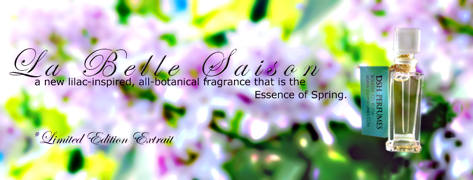 la_belle_saison_banner_abst_3