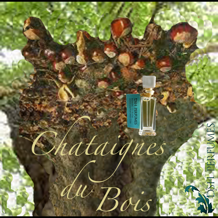 chataignesdubois_square11